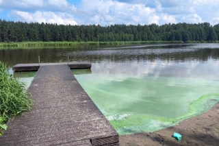 Titurgas ezerā vizuāli novērota zilaļģu ziedēšana