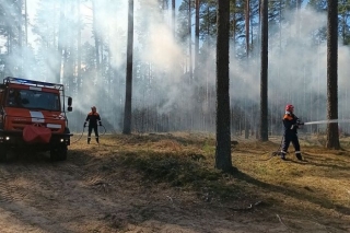 Pērn Latvijā reģistrēts 201 meža ugunsgrēks kopumā 73,1 hektāra platībā