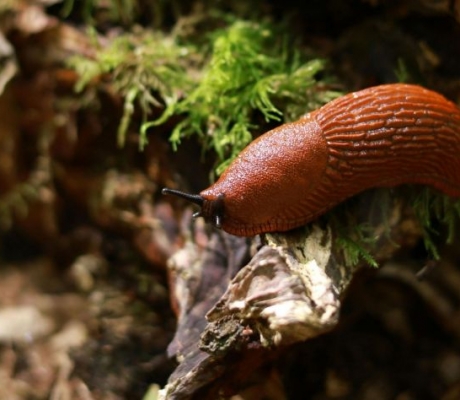 Aptauja: Kas šogad bija jums svarīgākais notikums?