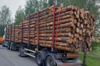 Komisija: Valdības atbalstu saņēmušo kokrūpnieku finanšu stāvoklis nebija nestabils