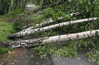 Jūrmalas pašvaldībai plāno piešķirt 52 575 eiro vētras zaudējumu kompensēšanai
