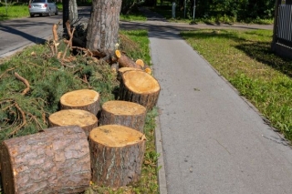 Jūrmalas pašvaldībai piešķirt 49 000 eiro vētras radīto zaudējumu kompensēšanai