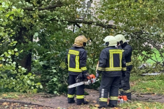 Pirmdien glābēji vairāk nekā 50 reižu steidzās likvidēt vēja postījumus, visbiežāk – Rīgā un Pierīgā