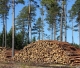 "Inčukalns Timber" apgrozījums pērn samazinājies par 6%