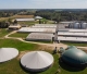 Cūkkopības uzņēmuma "Baltic Pork" koncerna apgrozījums pērn samazinājies par 4,8%