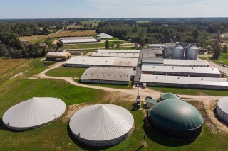 Cūkkopības uzņēmuma "Baltic Pork" koncerna apgrozījums pērn samazinājies par 4,8%