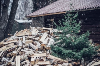 Vairākos Pierīgas novados iespēja bez maksas nodot Ziemassvētku eglītes