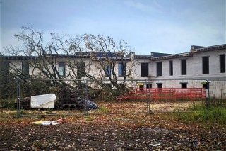 Apgabaltiesa nolemj nelikt nojaukt rindu māju pie Mārupē nozāģētā dižozola